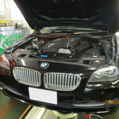 今週もたくさんのご来店ありがとうございました。